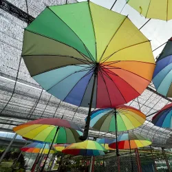 Gunung Jerai - Kedah