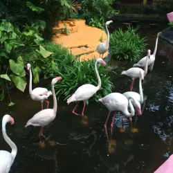Langkawi Wildlife Park & Bird Paradise - Kedah