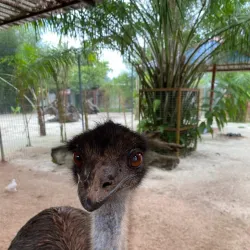 Langkawi Wildlife Park & Bird Paradise - Kedah