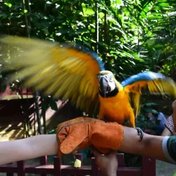 Langkawi Wildlife Park & Bird Paradise - Kedah