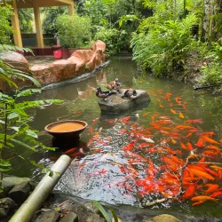 Langkawi Wildlife Park & Bird Paradise - Kedah