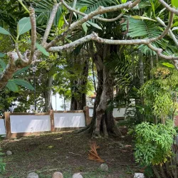 Bukit Puteri - Kemaman