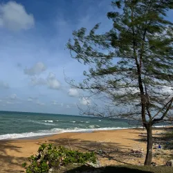 Rantau Abang Beach - Kemaman