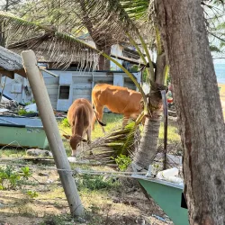 Rantau Abang Beach - Kemaman