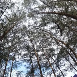 Teluk Mak Nik Beach - Kemaman