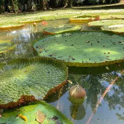 Keningau Agricultural Park - Keningau