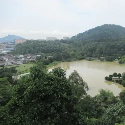 FRIM (Forest Research Institute Malaysia) - Kepong