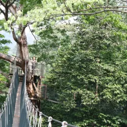 FRIM (Forest Research Institute Malaysia) - Kepong