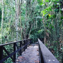 FRIM (Forest Research Institute Malaysia) - Kepong