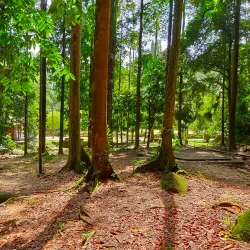 FRIM (Forest Research Institute Malaysia) - Kepong