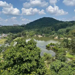 FRIM (Forest Research Institute Malaysia) - Kepong