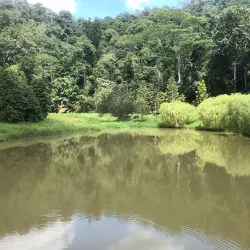 Kepong Botanical Garden - Kepong