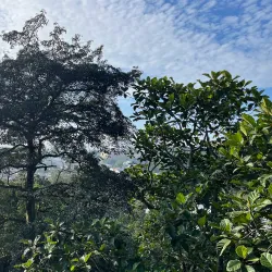 Kepong Botanical Garden - Kepong