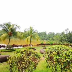Taman Rimba Riang - Kepong