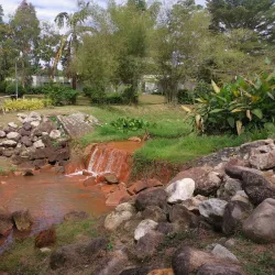 Taman Rimba Riang - Kepong