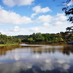 Taman Rimba Riang - Kepong