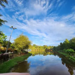 Taman Rimba Riang - Kepong