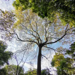 Taman Rakyat Klang - Klang