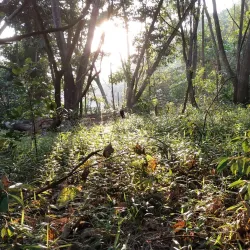 Taman Rakyat Klang - Klang