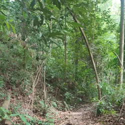 Taman Rakyat Klang - Klang