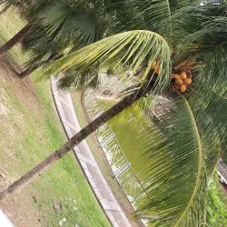 Taman Rakyat Klang - Klang