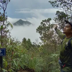 Gunung Belumut Recreational Forest - Kluang