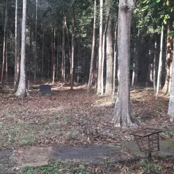 Kluang Waterfall (Air Terjun Kluang) - Kluang