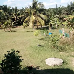 Kluang Waterfall (Air Terjun Kluang) - Kluang