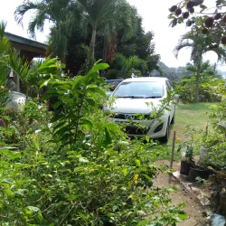 Kluang Waterfall (Air Terjun Kluang) - Kluang