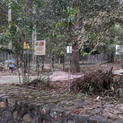 Kluang Waterfall (Air Terjun Kluang) - Kluang