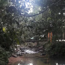 Kluang Waterfall (Air Terjun Kluang) - Kluang