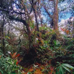 Taman Negara Rantau Panjang - Kota Bharu