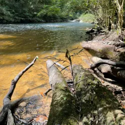 Taman Negara Rantau Panjang - Kota Bharu