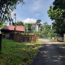 Taman Negara Rantau Panjang - Kota Bharu