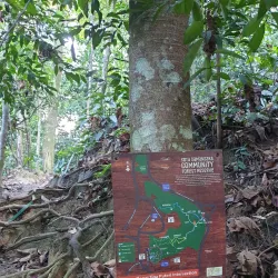 Kota Damansara Community Forest Park - Kota Damansara