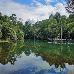 Kota Damansara Park - Kota Damansara