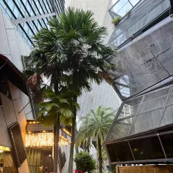 Kota Damansara Performing Arts Centre (KDPAC) - Kota Damansara