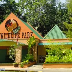 Lok Kawi Wildlife Park - Kota Kinabalu