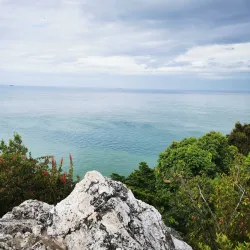 Bukit Batu Putih Recreational Forest - Kuala Lipis