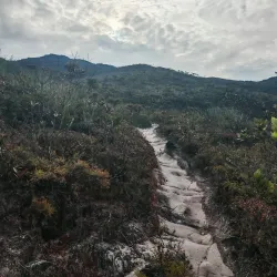 Gunung Tahan (Tahan Mountain) - Kuala Lipis