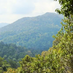 Gunung Tahan (Tahan Mountain) - Kuala Lipis