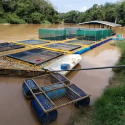 Lipis River - Kuala Lipis