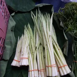 Pasar Besar Kuala Lipis (Kuala Lipis Market) - Kuala Lipis