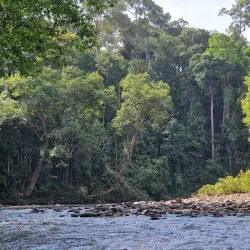 Taman Negara National Park - Kuala Lipis