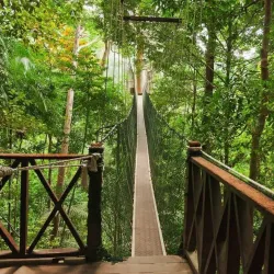Taman Negara National Park - Kuala Lipis