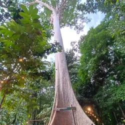 Taman Negara National Park - Kuala Lipis