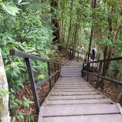 Taman Negara National Park - Kuala Lipis