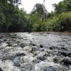 Taman Negara National Park - Kuala Lipis