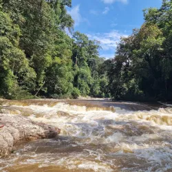 Taman Negara National Park - Kuala Lipis