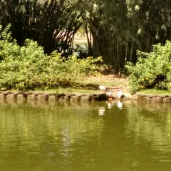 Perdana Botanical Gardens - Kuala Lumpur